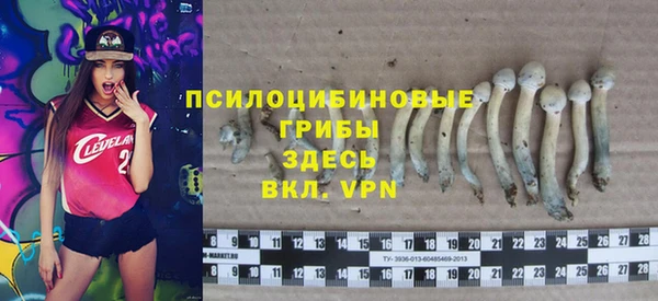 ГАЛЛЮЦИНОГЕННЫЕ ГРИБЫ Алзамай