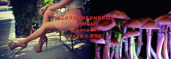ПСИЛОЦИБИНОВЫЕ ГРИБЫ Алексин