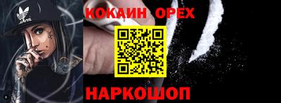 бошки Тара