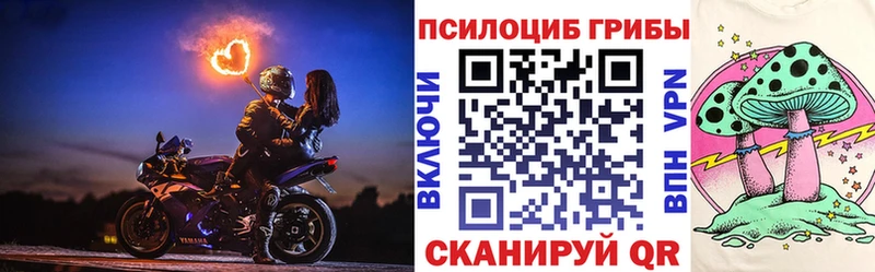 Галлюциногенные грибы Psilocybe  МЕГА зеркало  Новошахтинск 