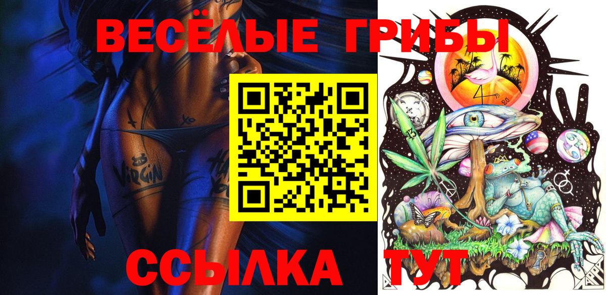 закладки  Вход с VPN  Галлюциногенные грибы Magic Shrooms  Новошахтинск  Галлюциногенные грибы Psilocybe 