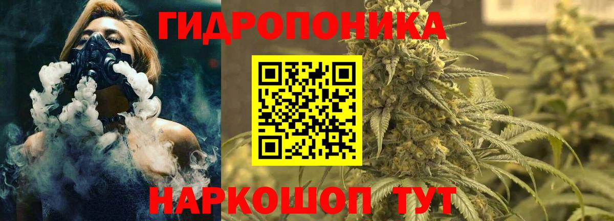 Конопля Bruce Banner  Бошки марихуана Bruce Banner  Конопля Amnesia  Новошахтинск  Вход с VPN  Каннабис SATIVA & INDICA 